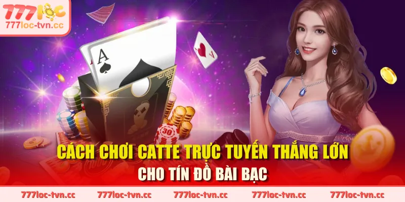 Cách Chơi Catte Toàn Diện Cho Tân Binh Mới Nhập Môn