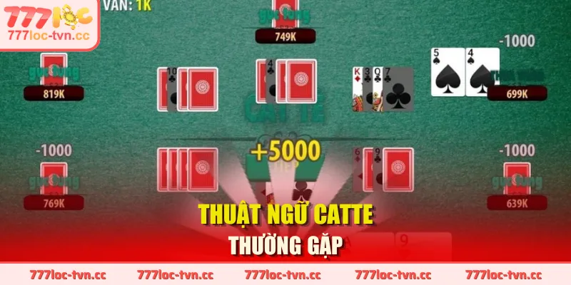 Thuật ngữ Catte thường gặp